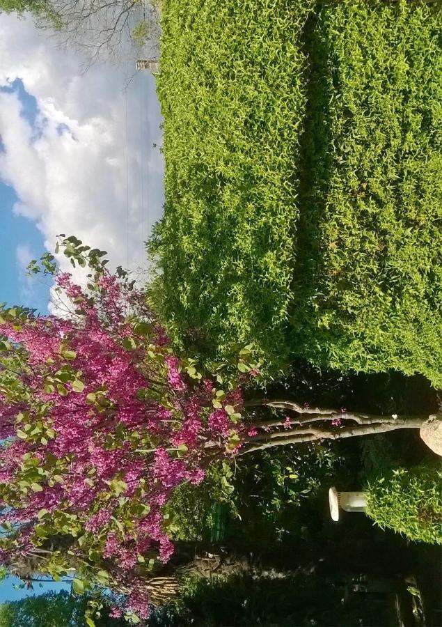 Casetta Olivetta Šišan Esterno foto