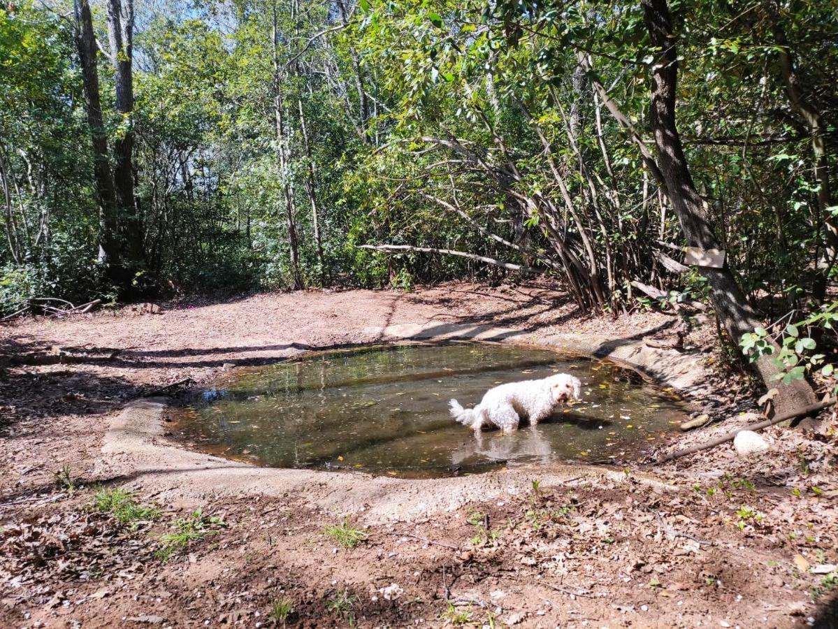 Casetta Olivetta Šišan Esterno foto