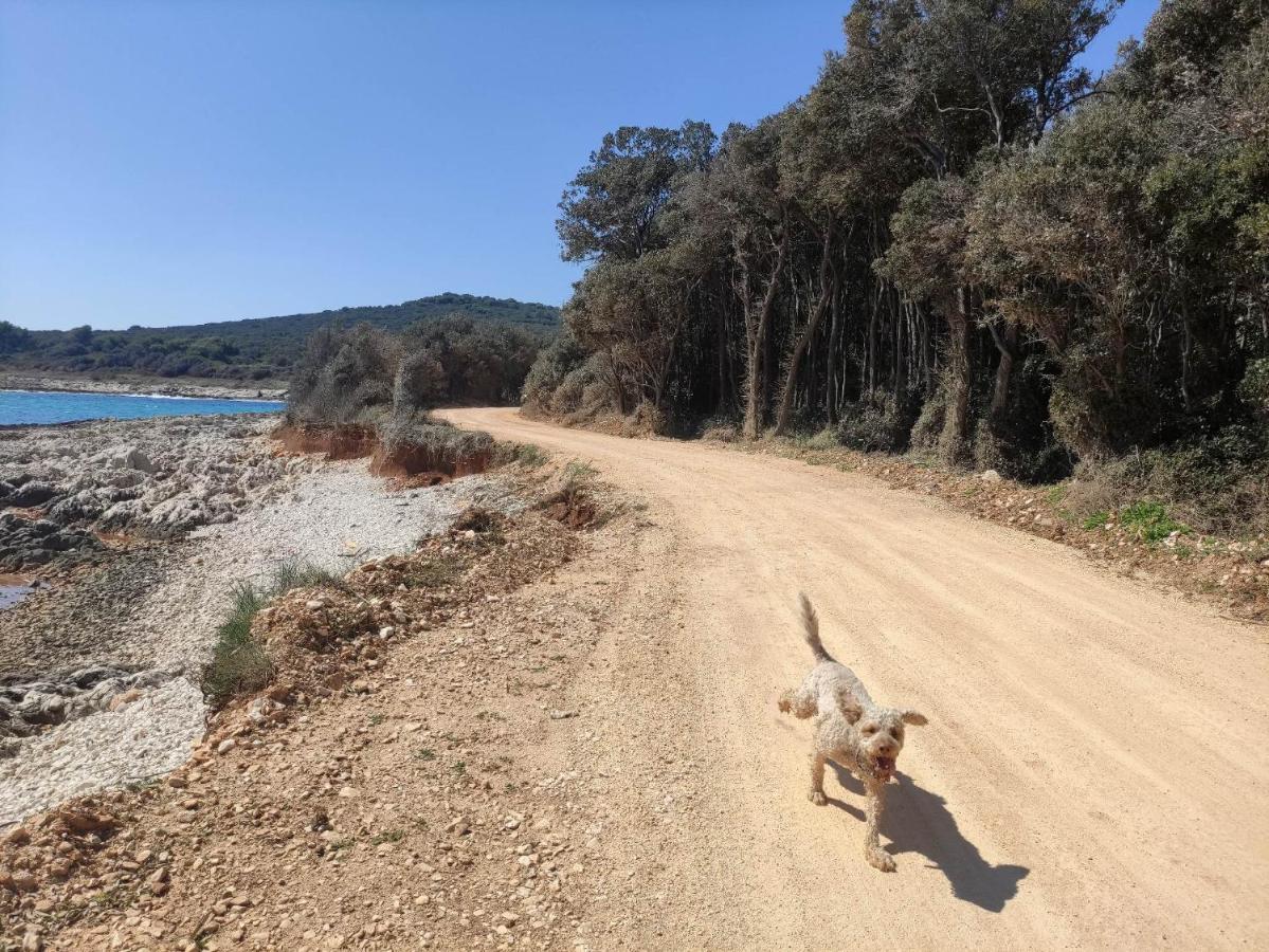 Casetta Olivetta Šišan Esterno foto