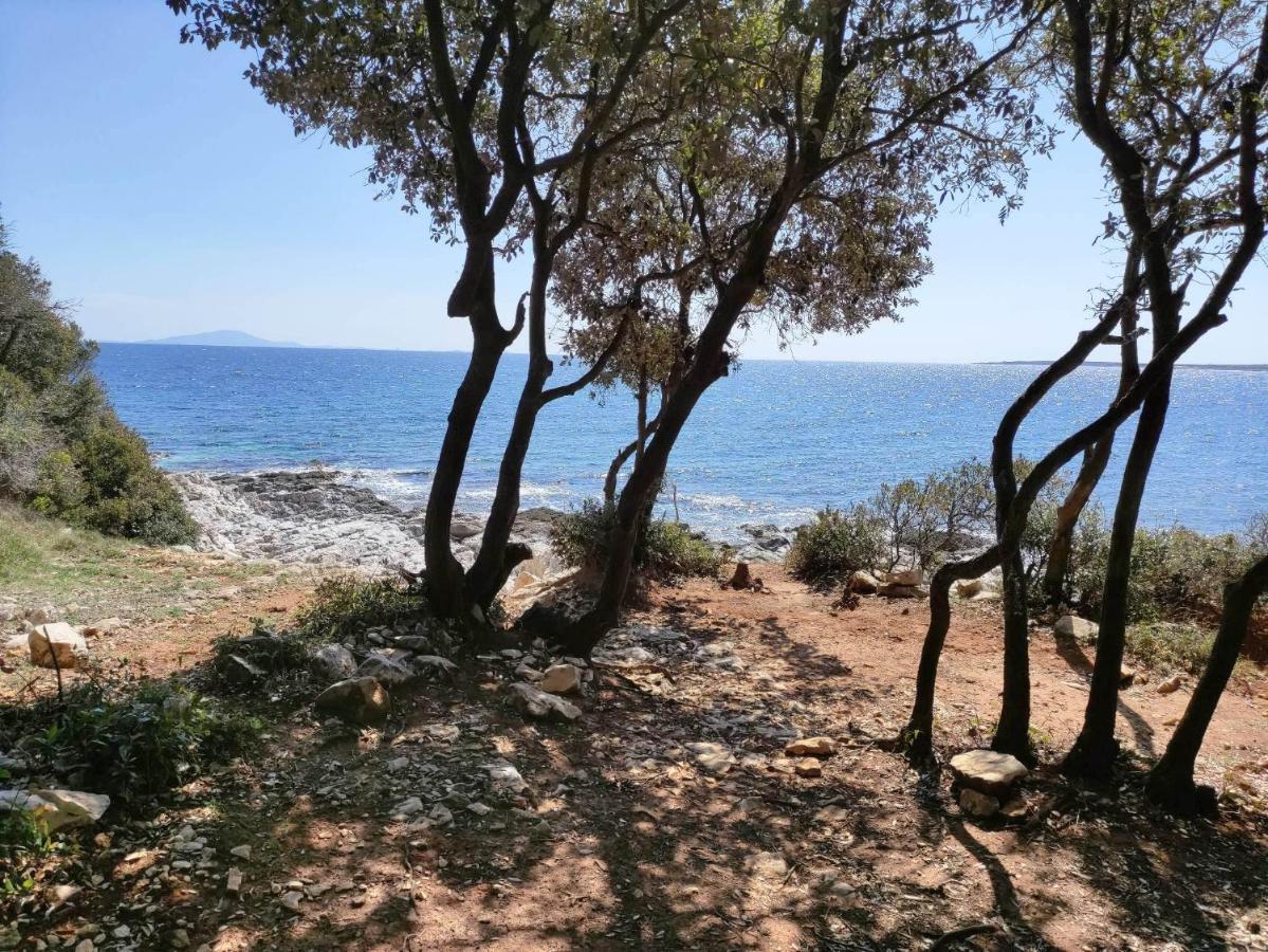 Casetta Olivetta Šišan Esterno foto