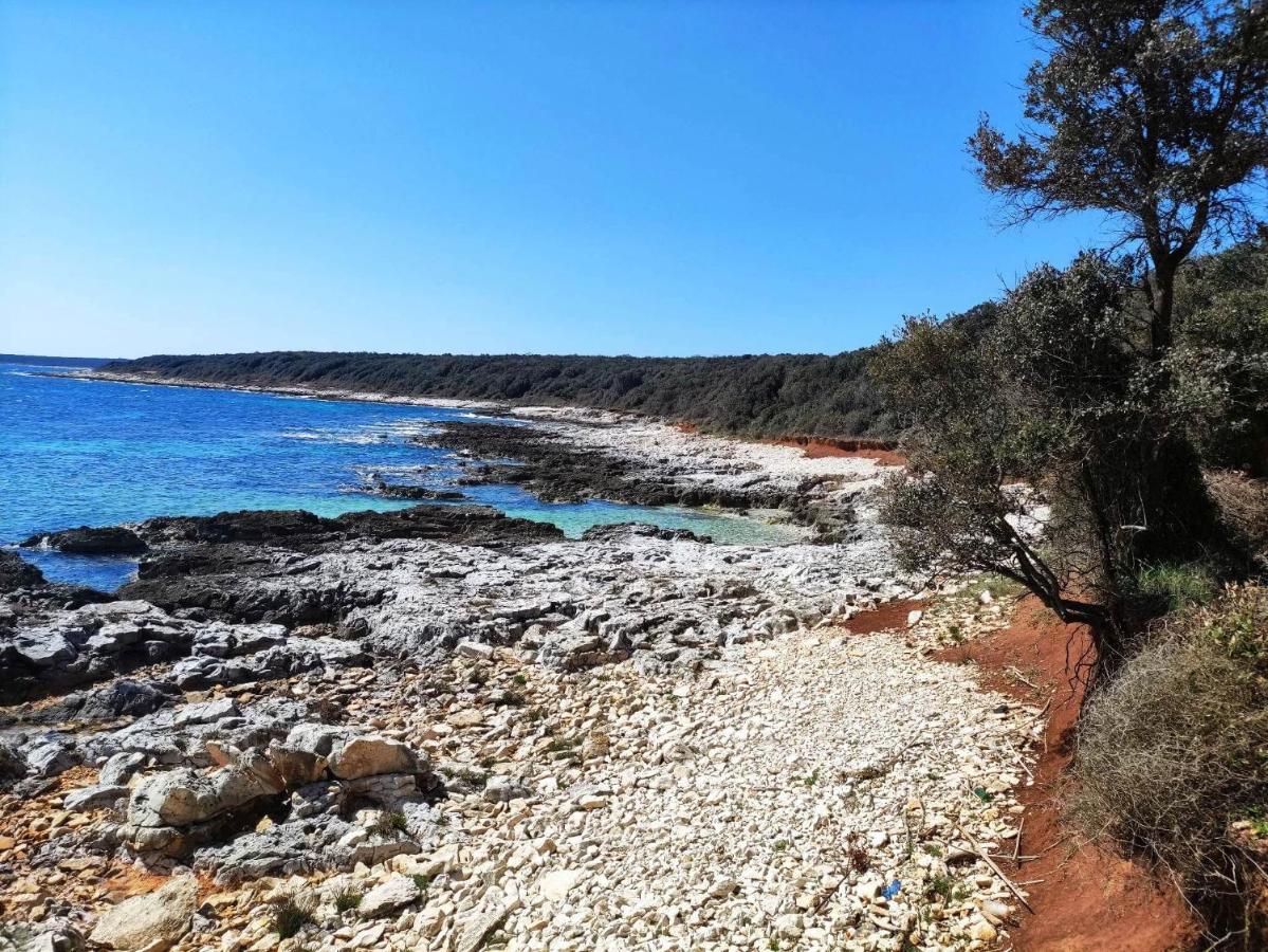 Casetta Olivetta Šišan Esterno foto