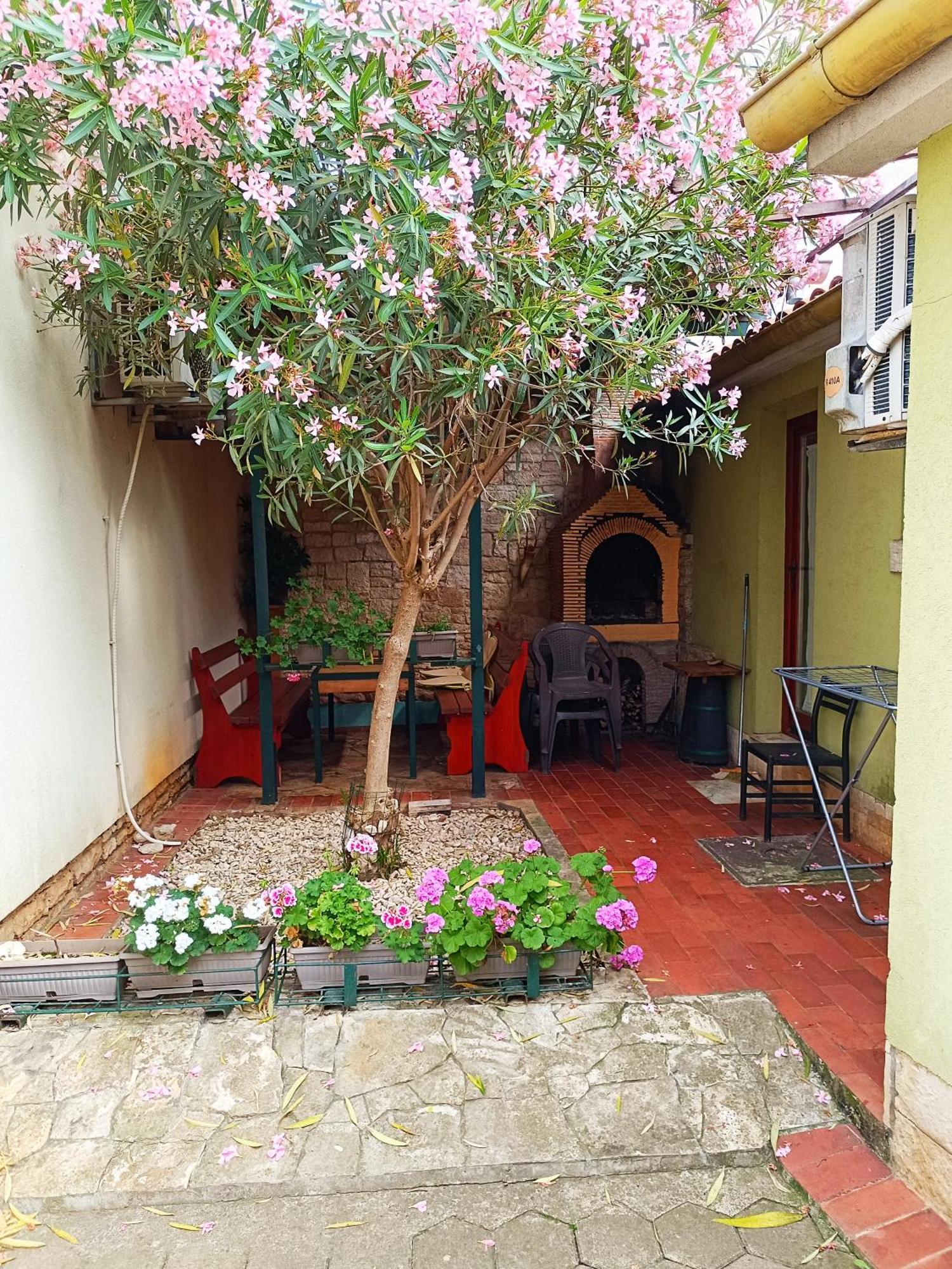 Casetta Olivetta Šišan Esterno foto